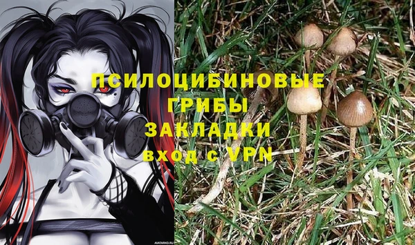 наркотики Михайлов
